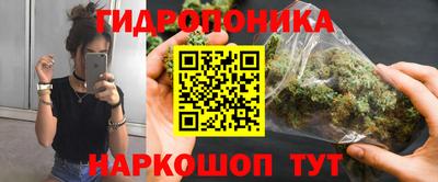 дживик Тара